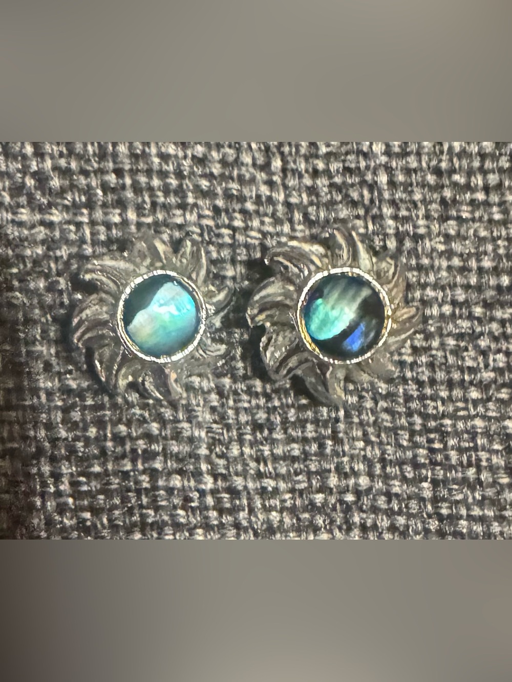 Silver Tone Abalone Shell Stud Earrings